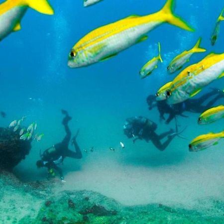 Devocean Eco Adventure Lodge Ponta do Ouro Eksteriør billede