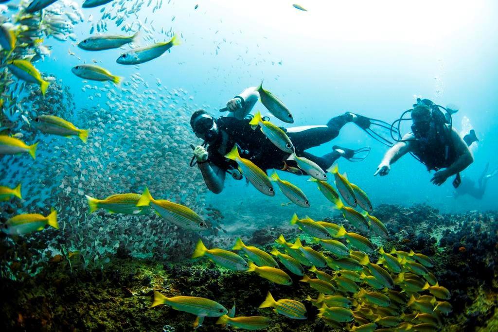 Devocean Eco Adventure Lodge Ponta do Ouro Eksteriør billede