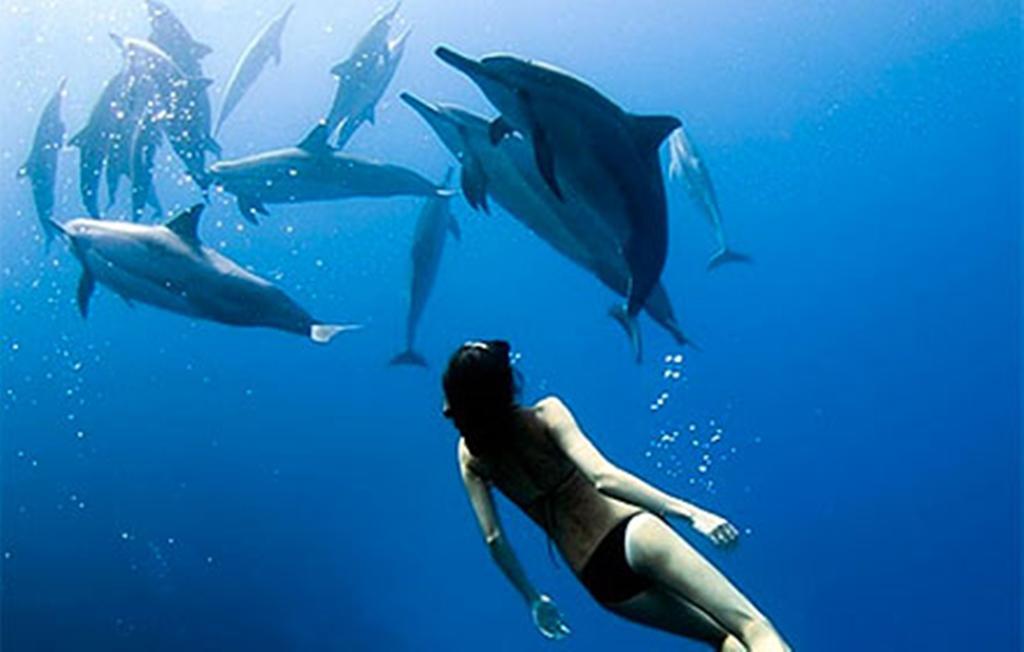 Devocean Eco Adventure Lodge Ponta do Ouro Eksteriør billede