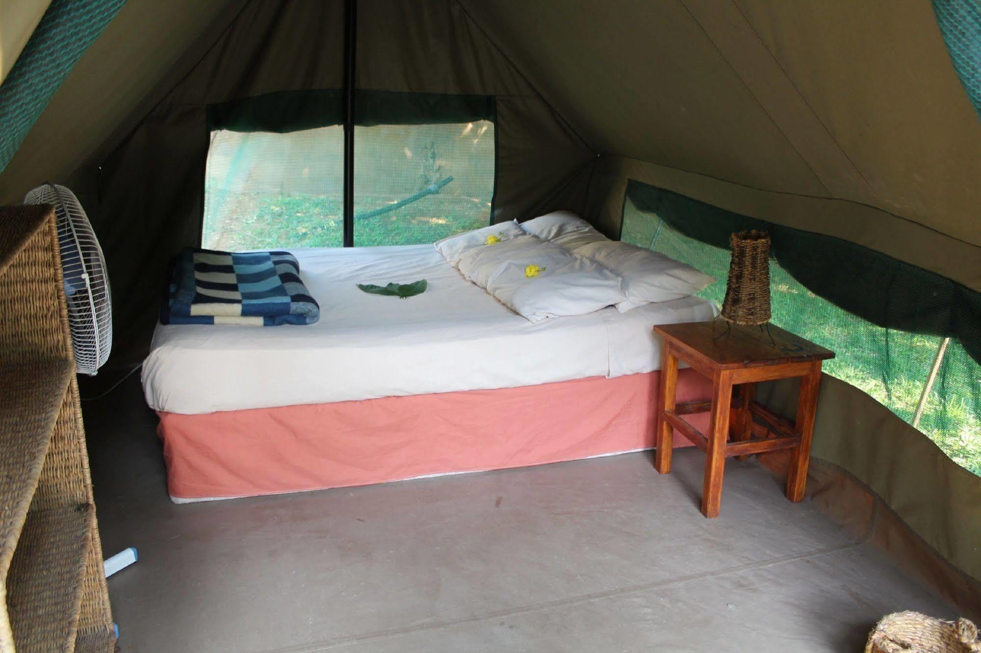 Devocean Eco Adventure Lodge Ponta do Ouro Eksteriør billede